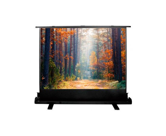  Экран Cactus 135x180см FloorExpert CS-PSFLE-180X135 4:3 напольный рулонный 