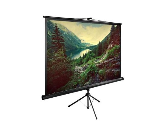  Экран Cactus 220x220см TriExpert CS-PSTE-220x220-BK 1:1 напольный рулонный черный 