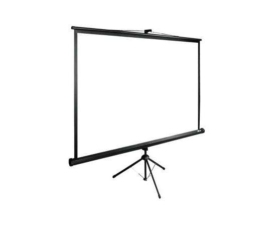  Экран Cactus 220x220см TriExpert CS-PSTE-220x220-BK 1:1 напольный рулонный черный 
