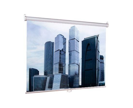  Экран Lumien 206x274см Eco Picture LEP-100115 4:3 настенно-потолочный рулонный 