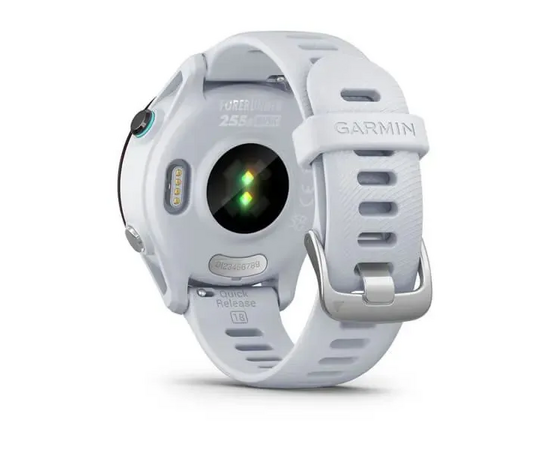  Спортивные часы Garmin Forerunner 255S Music Whitestone 010-02641-33 
