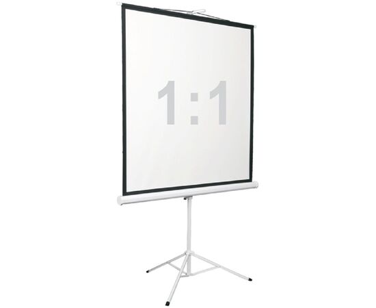  Экран 180x180см Digis Kontur-D DSKD-1105 1:1 напольный рулонный 