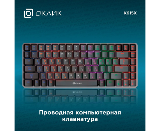  Клавиатура OKLICK K615X (1934413) механическая черный/серебристый USB Multimedia for gamer LED 