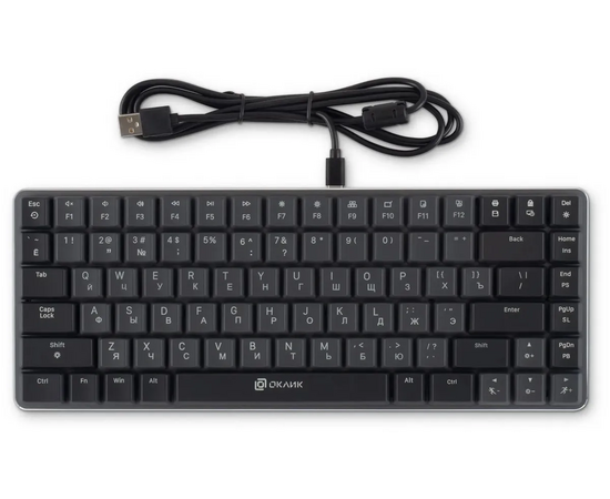  Клавиатура OKLICK K615X (1934413) механическая черный/серебристый USB Multimedia for gamer LED 