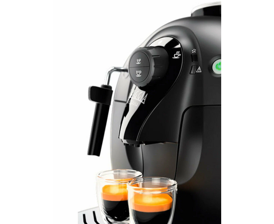  Кофемашина GAGGIA Besana CMF BK 230 WE RI8180/01 