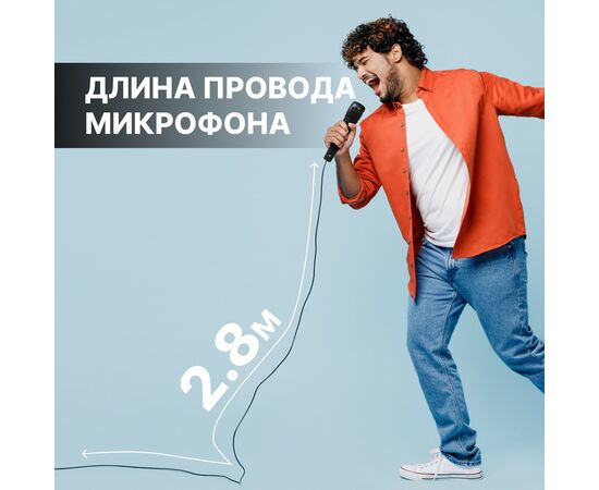  Портативная акустика напольная Smart Buy PHOENIX SBS-5490 (black) (231636) 