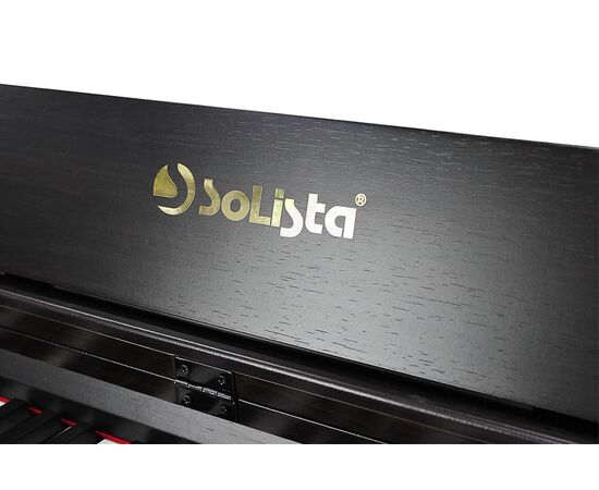  Цифровое фортепиано Solista DP200R 