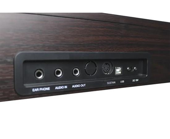  Цифровое фортепиано Solista DP600R 