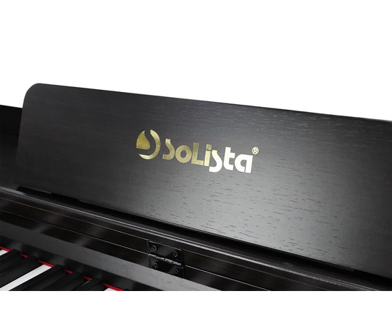  Цифровое фортепиано Solista DP600R 