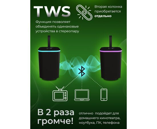  Акустика портативная RITMIX SP-340B черный 