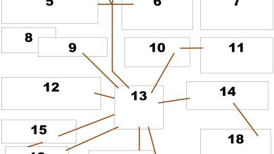 Photo of Харизма и эмпатия: идеальное сочетание лидера